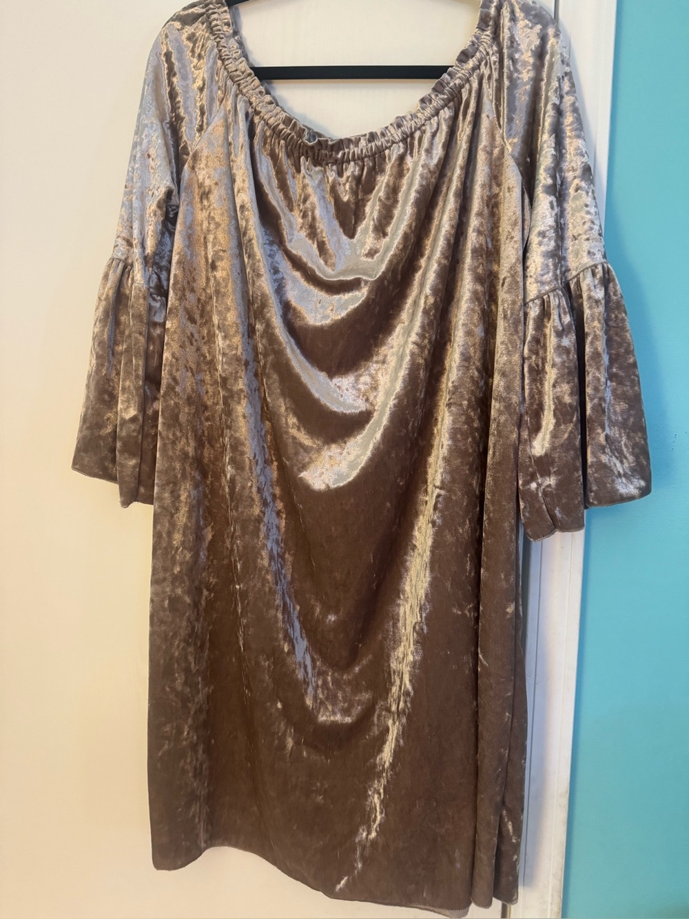 Velvet Off-Shoulder Bell Sleeve Top - Taupe